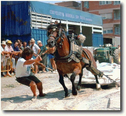 Concurs de Tir i arrossegament