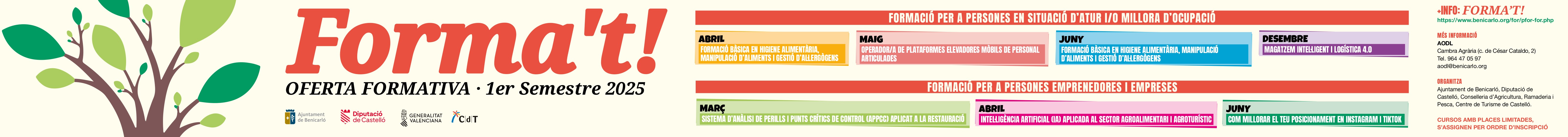 banner - format 2025-1