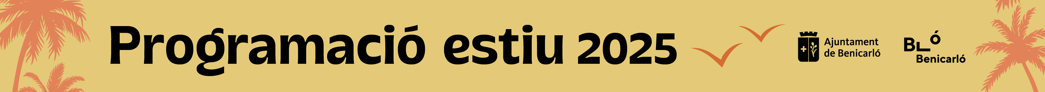 banner - estiu 2025